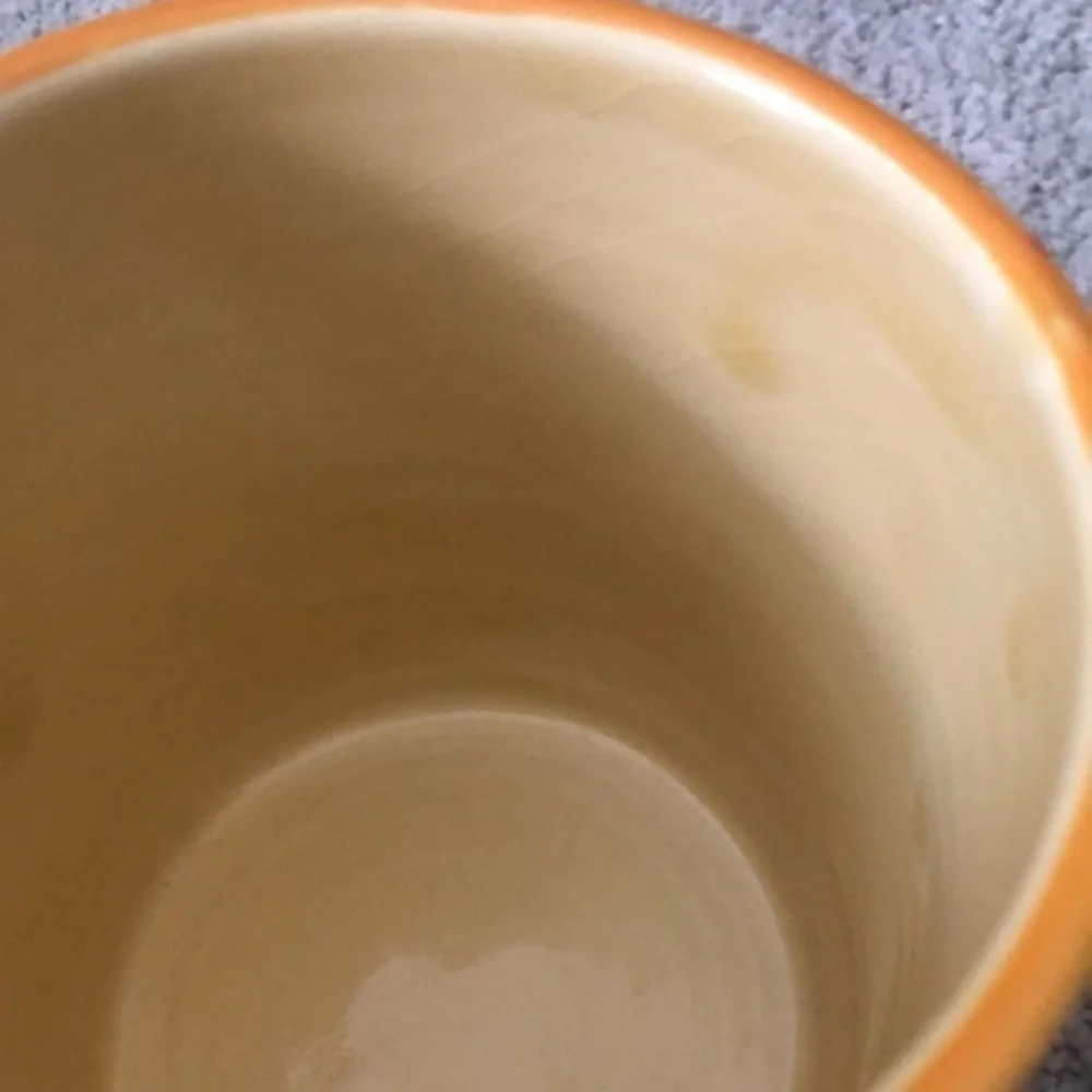 Pier 1 Imports Antique Soleil‎ Hand Painted Coffee Mug
